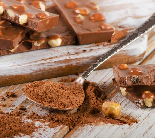Cacao en polvo y chocolate — Foto de Stock