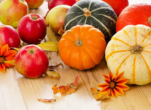 Calabazas de naranja con manzanas —  Fotos de Stock