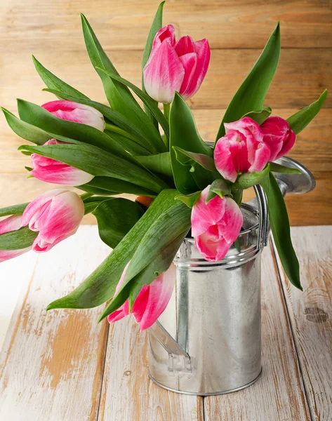 Tulpen in der Gießkanne — Stockfoto