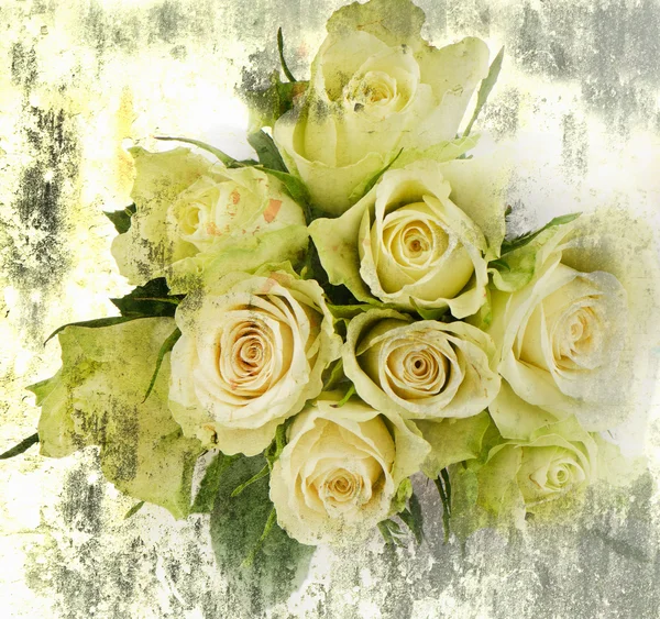 Background with white roses — Stock Photo, Image