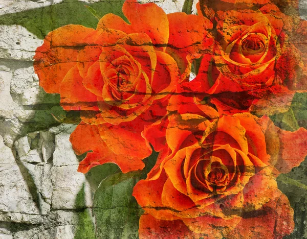 Hintergrund mit orangen Rosen — Stockfoto