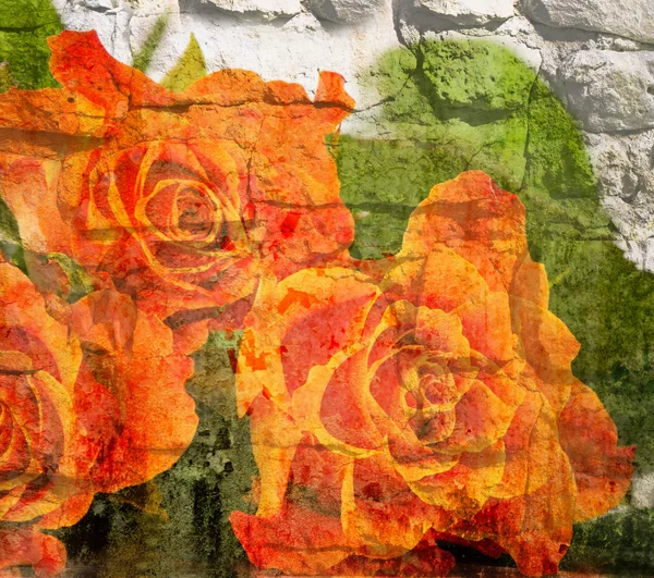 Background with orange roses — Stock Photo, Image