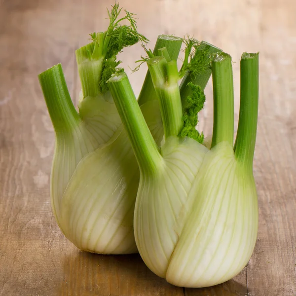 Frischer Bio-Fenchel — Stockfoto