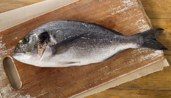 Fresh sea bream — Stock Photo, Image