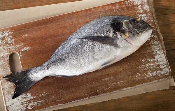 Fresh sea bream — Stock Photo, Image