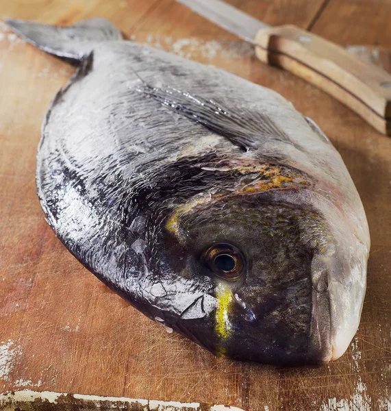 Fresh sea bream — Stock Photo, Image