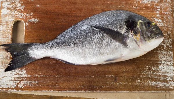 Fresh sea bream — Stock Photo, Image