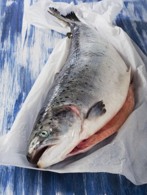 taze çiğ bütün somon .