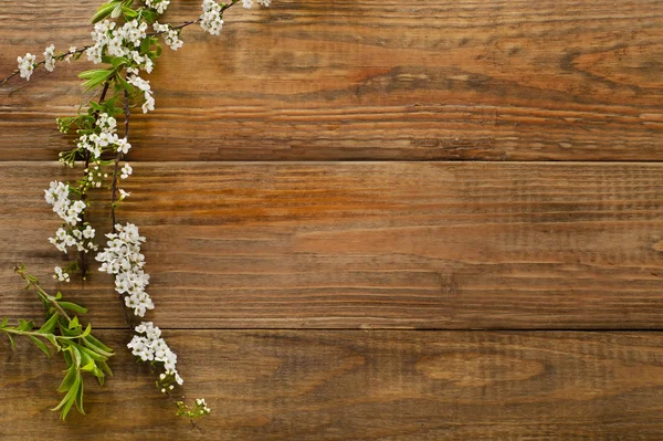 Vårblommor på träbord — Stockfoto