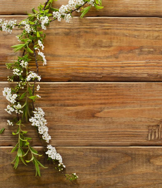 Vårblommor på träbord — Stockfoto