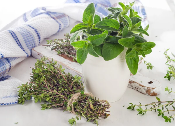 Fresh green herbs — Stock Photo, Image