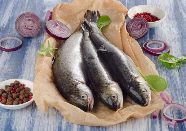 Färska trouts på bord. — Stockfoto