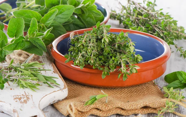 çeşitli taze Akdeniz otlar. 