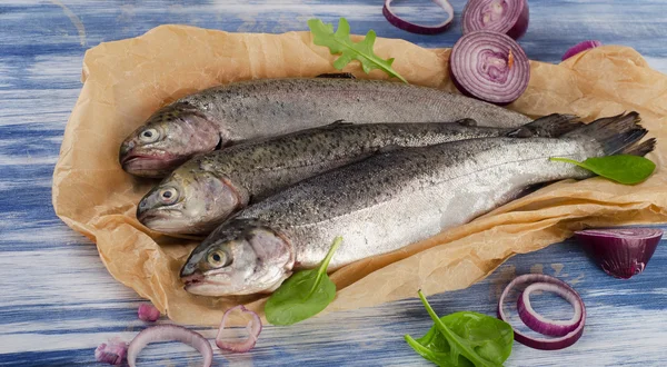 Färska trouts med kryddor och andra smaksättningsmedel — Stockfoto