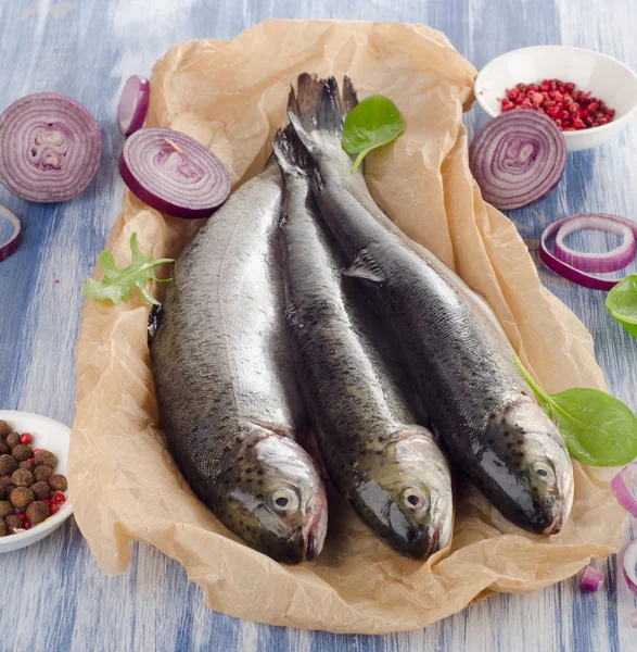 Fresh trouts with spices — Stock Photo, Image