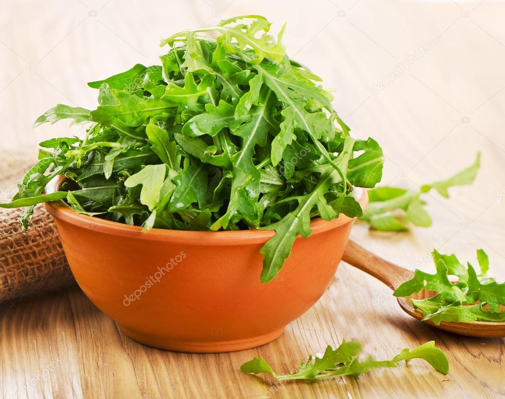 Fresh arugula salad