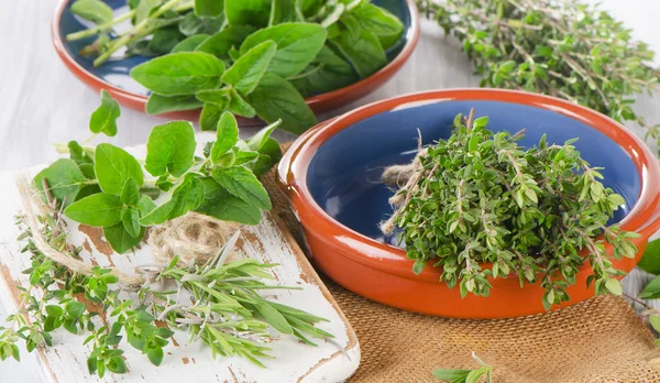 Thyme, rosemary and oregano. — Stock Photo, Image