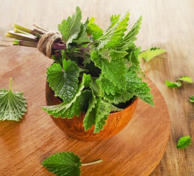 Bunch of Fresh mint leaves clipart