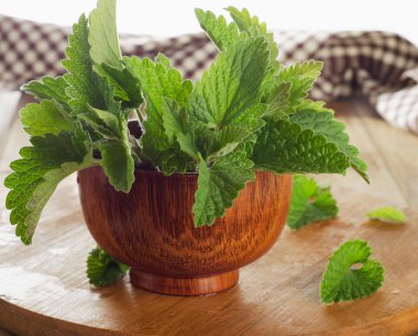 Demet taze nane yaprakları