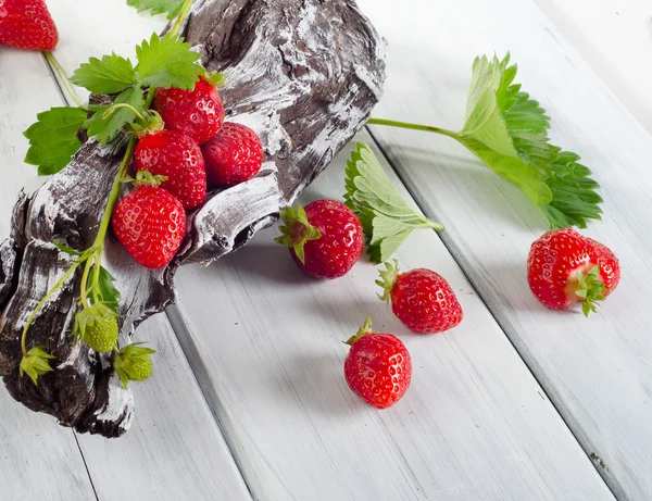 Fresas frescas maduras — Foto de Stock