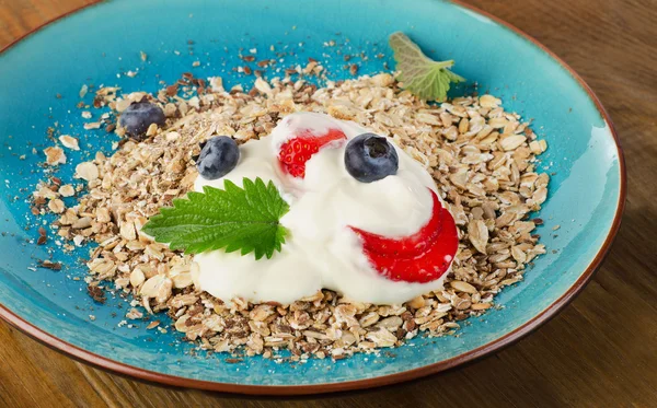 Micul dejun cu iaurt și muesli sănătos — Fotografie, imagine de stoc