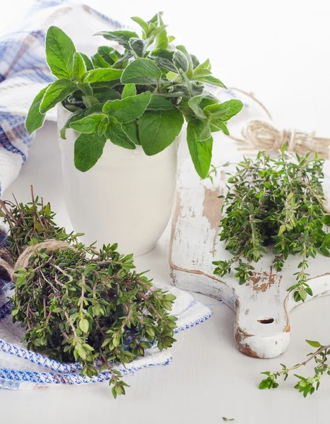 Fresh herbs - thyme and oregano — 图库照片