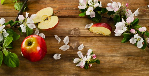 Blooming apple twigs and red apples — Stock Photo, Image