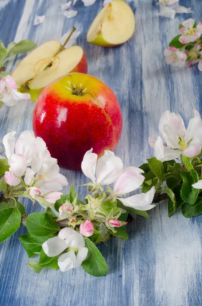 Ανθίζοντας μήλο κλαδί και κόκκινα μήλα — Φωτογραφία Αρχείου