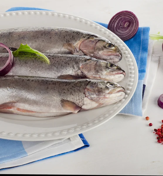 Truchas arco iris en plato blanco — Foto de Stock