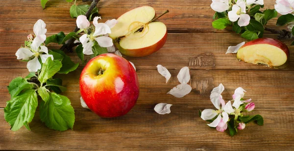 Blooming apple twigs and red apples — Stock Photo, Image