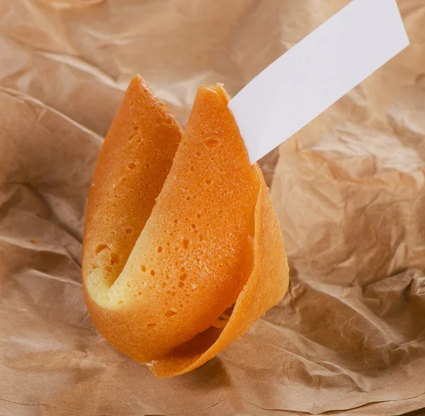 Zbliżenie z Fortune cookie — Zdjęcie stockowe