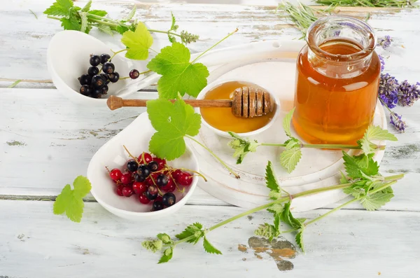 Burk honung med mynta blad — Stockfoto