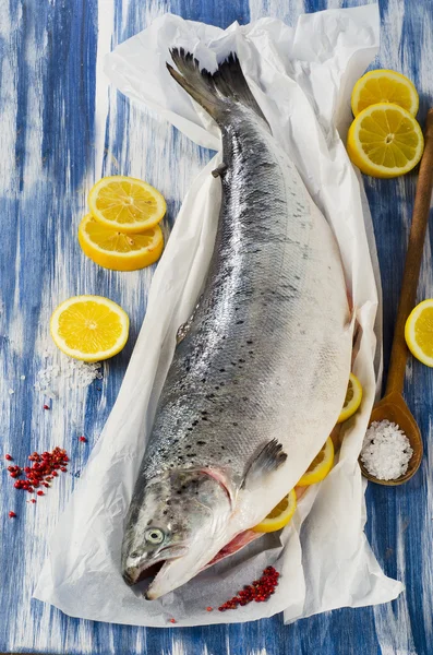 Frischer Fisch auf Papier — Stockfoto