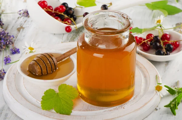 Méz, bogyók és méz vízirigó — Stock Fotó