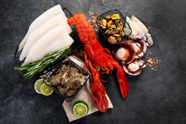 Çeşitli taze deniz ürünleri ve otlar. Taze balık ve deniz ürünleri düzenlemesi. Üst görünüm.