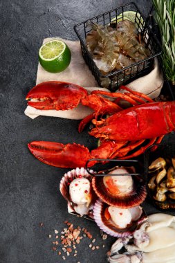 Çeşitli taze deniz ürünleri ve otlar. Taze balık ve deniz ürünleri düzenlemesi. Üst görünüm.