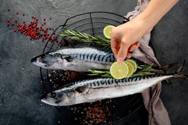 Taze uskumru ve otlar. Taze balık ve deniz ürünleri düzenlemesi. Üst görünüm.
