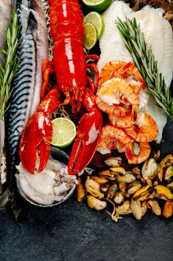 Çeşitli taze deniz ürünleri ve otlar. Taze balık ve deniz ürünleri düzenlemesi. Üst görünüm.