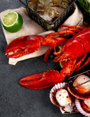 Çeşitli taze deniz ürünleri ve otlar. Taze balık ve deniz ürünleri düzenlemesi. Üst görünüm.