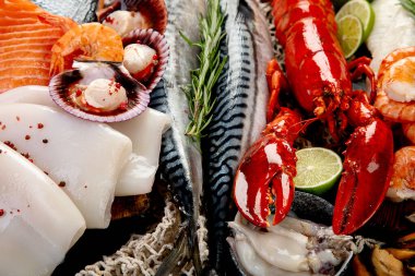 Çeşitli taze deniz ürünleri ve otlar. Taze balık ve deniz ürünleri düzenlemesi. Üst görünüm.