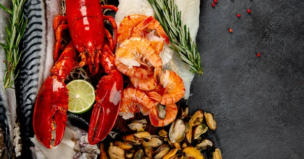 Çeşitli taze deniz ürünleri ve otlar. Taze balık ve deniz ürünleri düzenlemesi. Üst görünüm.