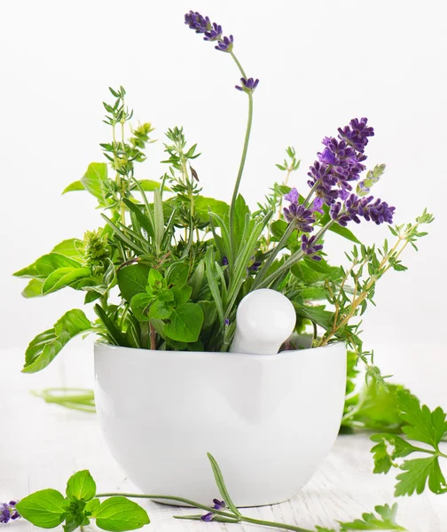 Ervas frescas na mesa de madeira. — Fotografia de Stock