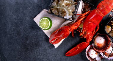 Çeşitli taze deniz ürünleri ve otlar. Taze balık ve deniz ürünleri düzenlemesi. Üst görünüm.