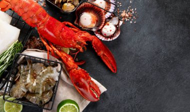 Çeşitli taze deniz ürünleri ve otlar. Taze balık ve deniz ürünleri düzenlemesi. Üst görünüm.