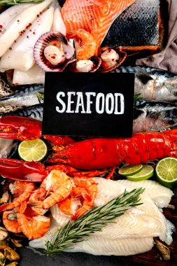 Çeşitli taze deniz ürünleri ve otlar. Taze balık ve deniz ürünleri düzenlemesi. Üst görünüm.