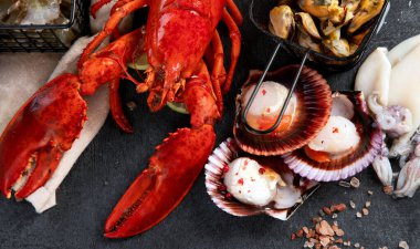 Çeşitli taze deniz ürünleri ve otlar. Taze balık ve deniz ürünleri düzenlemesi. Üst görünüm.