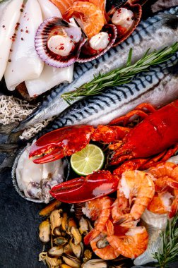 Çeşitli taze deniz ürünleri ve otlar. Taze balık ve deniz ürünleri düzenlemesi. Üst görünüm.