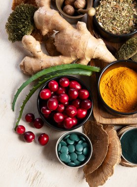 Sağlıklı doğal adaptojen. Bitkiler, baharatlar, hafif arka planda mantarlar. Sinir gıdası koleksiyonu. Üst görünüm