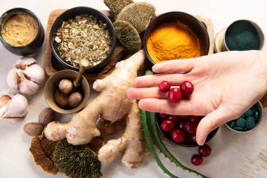 Sağlıklı doğal adaptojen. Bitkiler, baharatlar, hafif arka planda mantarlar. Sinir gıdası koleksiyonu. Üst görünüm