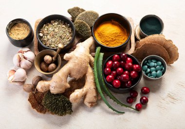 Sağlıklı doğal adaptojen. Bitkiler, baharatlar, hafif arka planda mantarlar. Sinir gıdası koleksiyonu. Üst görünüm